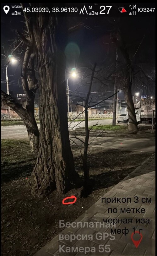 IMG_0884.jpeg
