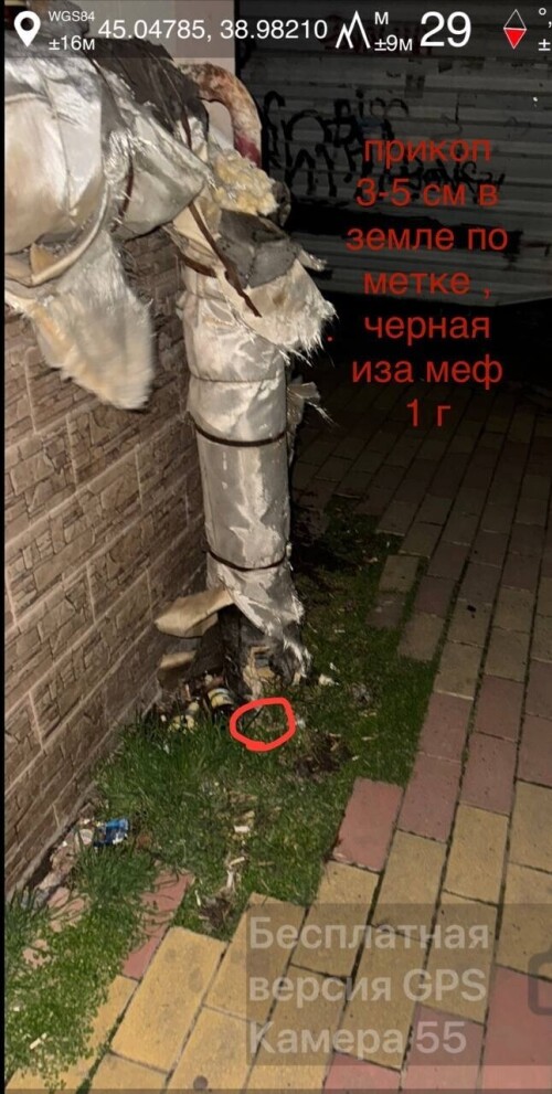 IMG_0890.jpeg