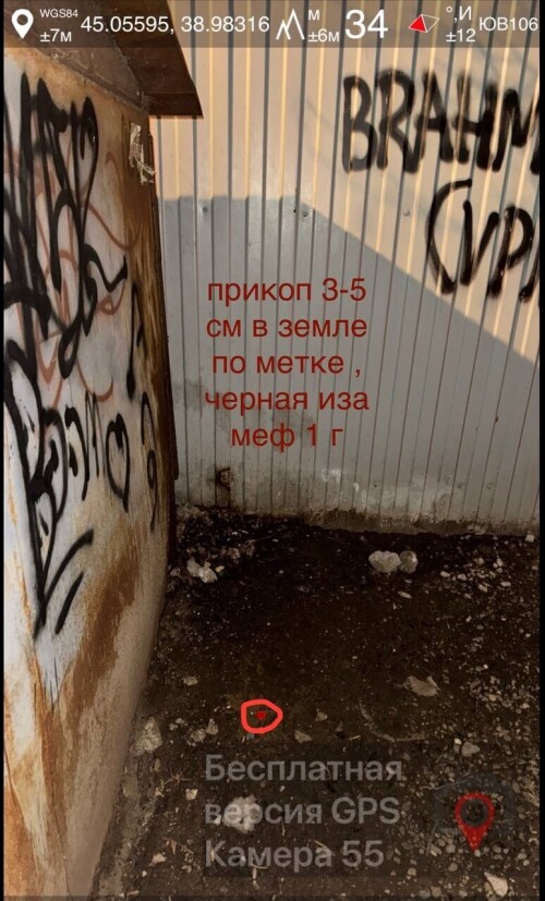 IMG_0896.jpeg