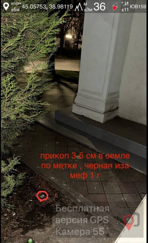 IMG_0900.jpeg