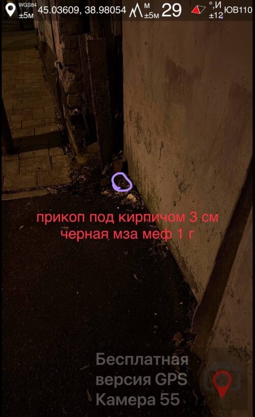 IMG_0906.jpeg