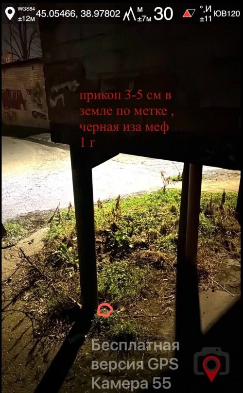 IMG_0907.jpeg