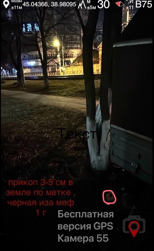 IMG_0908.jpeg