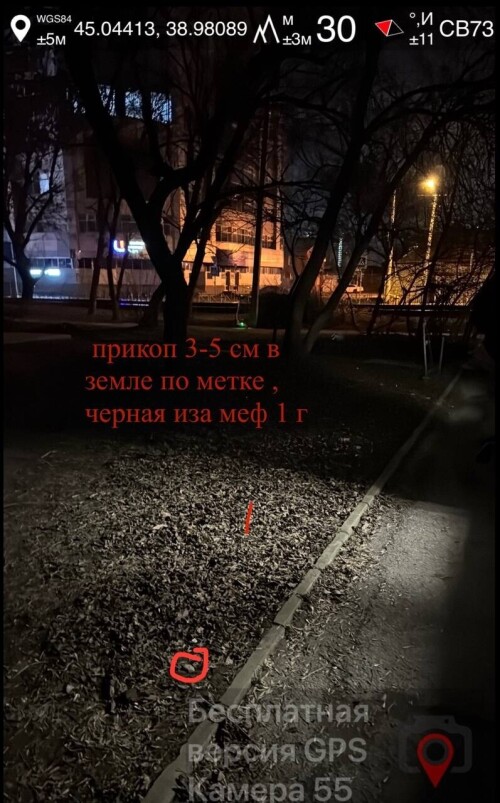 IMG_0911.jpeg