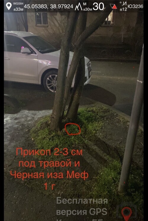 IMG_0913.jpeg