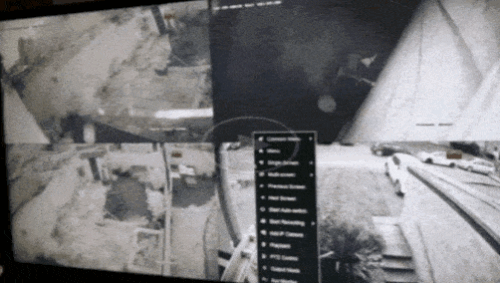 GIF_20260110_102153_136.gif