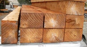 Best-Cedar-Wood-Enhancing-Your-Garden-Structures.jpg