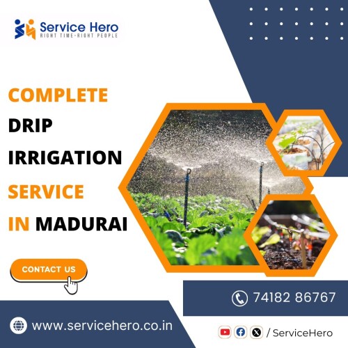 Complete-Drip-Irrigation-Service-in-Madurai.jpeg
