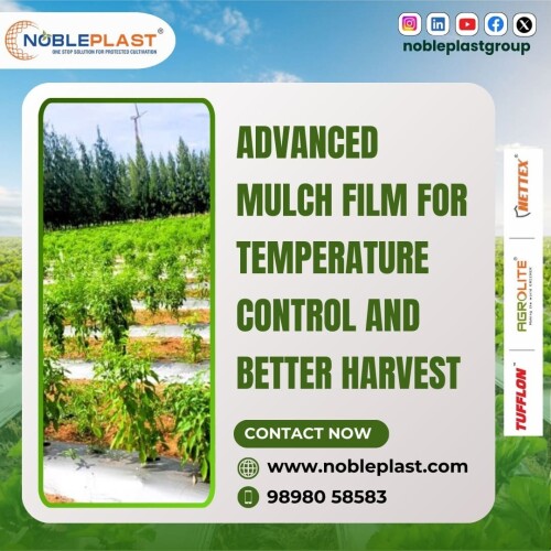 Advanced-Mulch-Film-for-Temperature-Control-and-Better-Harvest.jpg