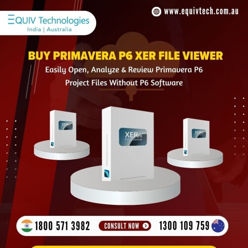 Buy-Primavera-P6-XER-File-Viewer-Online.jpg