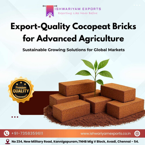 Export-Quality-Cocopeat-Bricks-for-Advanced-Agriculture.jpg