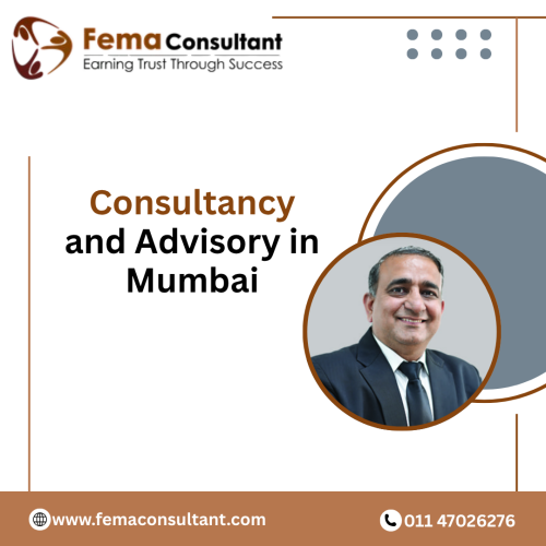 Consultancy-and-Advisory-in-Mumbai-1.png