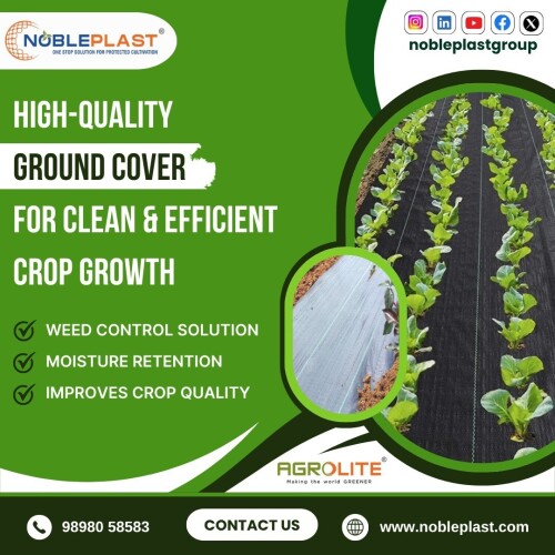 High-Quality-Ground-Cover-for-Clean-and-Efficient-Crop-Growth.jpg