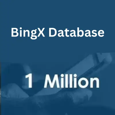 BingX-database-1.webp