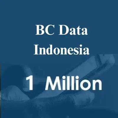 bc-data-Indonesia-1.webp