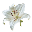 converted_image.png