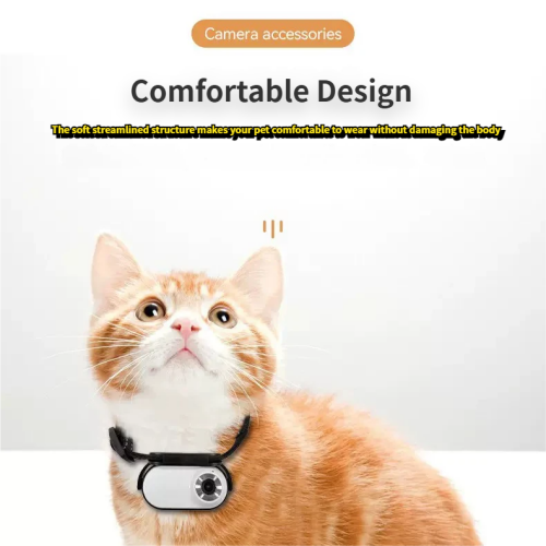 d477046cf1960aa27c96dc7a6ad12a19.png