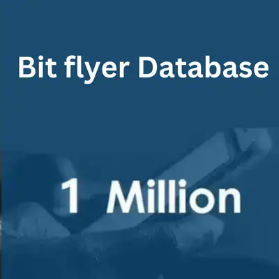 Bit-flyer-database-1.webp