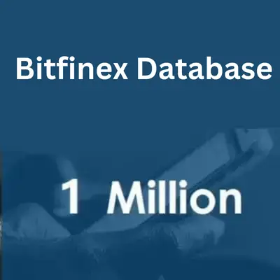 Bitfinex-database-1.webp