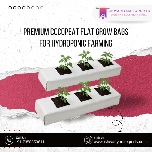 Premium-Cocopeat-Flat-Grow-Bags-for-Hydroponic-Farming.jpg
