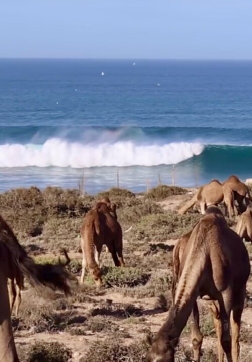 Surf-Taghazout.jpeg