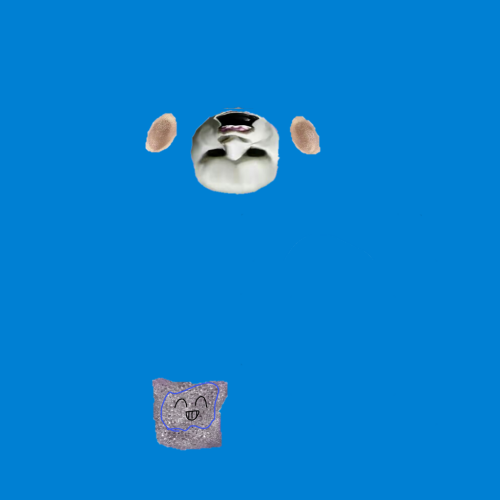 1777631062556.png
