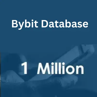 Bybit-database-1.webp