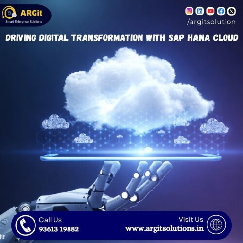 Driving-Digital-Transformation-with-SAP-HANA-Cloud.jpg