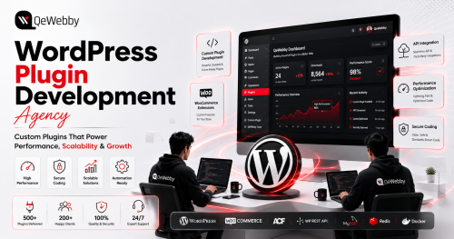 WordPress-Plugin-Development-Agency-qewebby-2.png