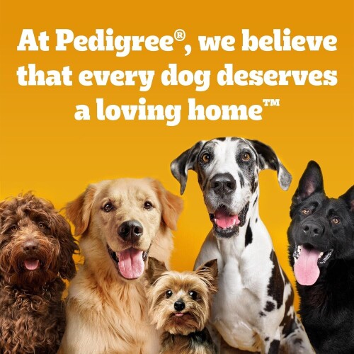 Pedigree-Biscrok-Multi-Mix-Dog-Food-Bone-Shaped-Biscuits-500g-with-Omega-3-129850a9368d88145.jpg