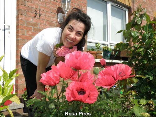 Rosa-Pires-022.jpg