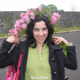 Rosa-Pires-023
