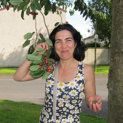 Rosa-Pires-024.jpg