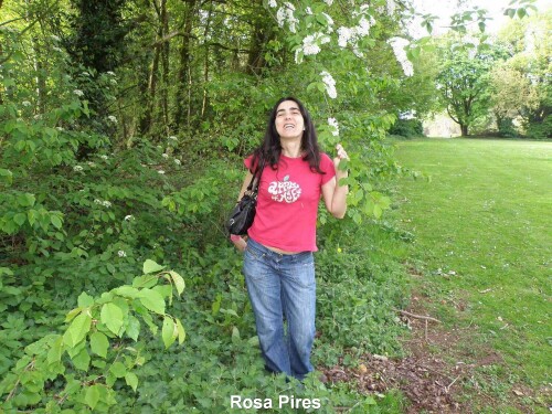 Rosa-Pires-046.jpg