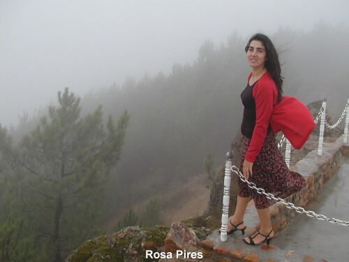 Rosa-Pires-064.jpg