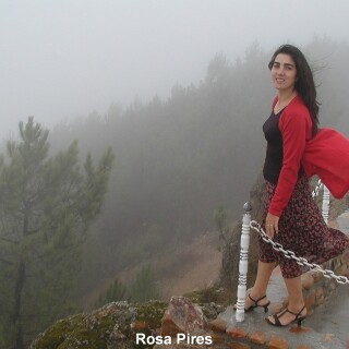 Rosa-Pires-064