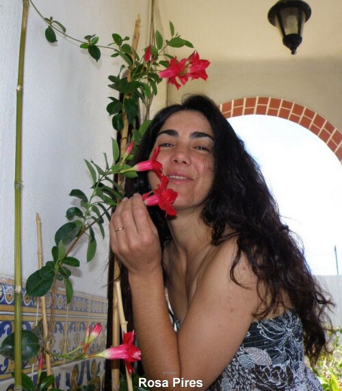 Rosa-Pires-086.jpg