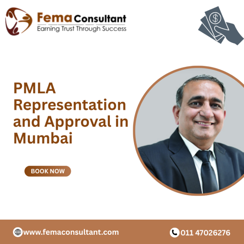 PMLA-Representation-and-Approval-in-Mumbai.png