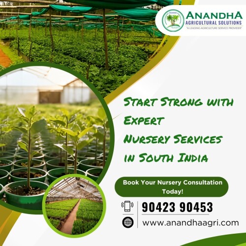 Expert-Nursery-Services-in-South-India.jpeg