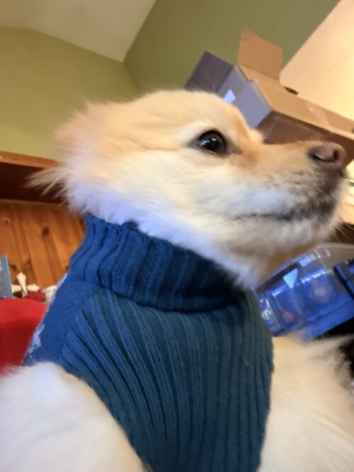 TEDSWEATERWEATHER.jpg