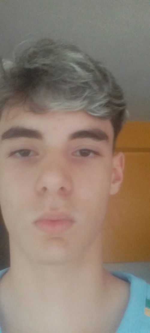 imagem_2026-05-24_125253642.png