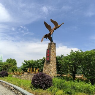 IMG_20250426_133615_344