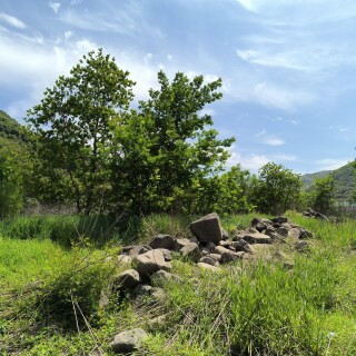IMG_20250426_135223_652