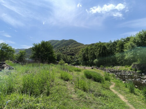 IMG_20250426_135226_458.jpg