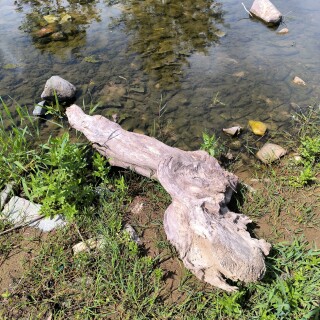 IMG_20250426_135929_891