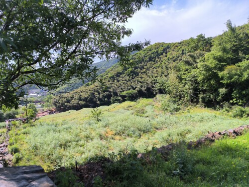 IMG_20250426_150504_192.jpg