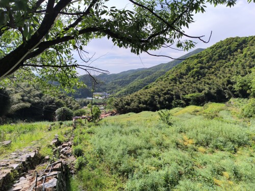 IMG_20250426_150519_959.jpg