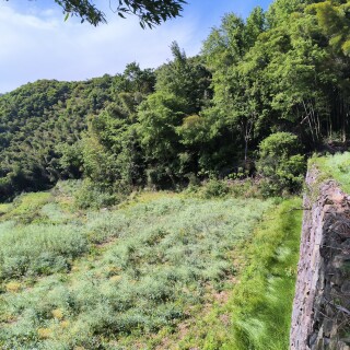IMG_20250426_150525_813