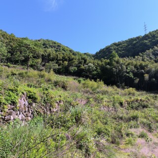 IMG_20250426_151236_829