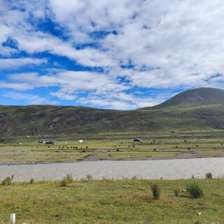 IMG_20250918_102808